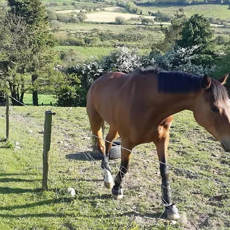 Holiday home Tir Na Nog - A Piece Of Heaven